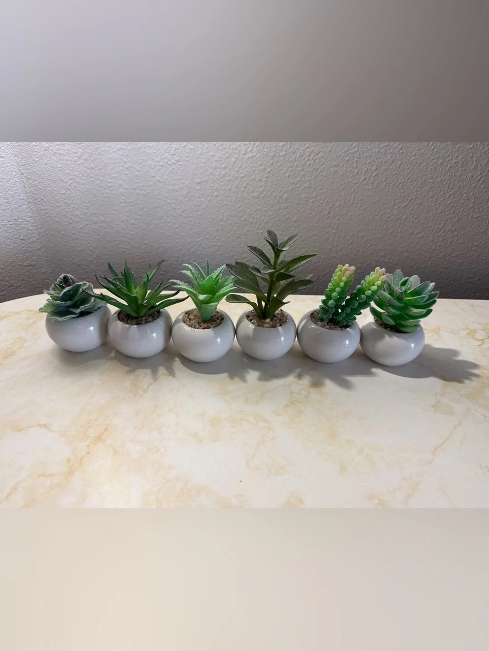 6-Piece Mini Faux Succulent Set with White Ceramic Pots